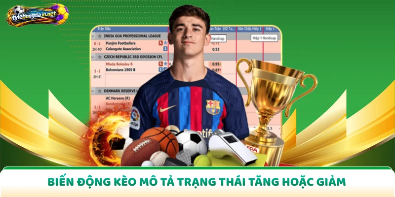 Biến động kèo mô tả trạng thái tăng hoặc giảm