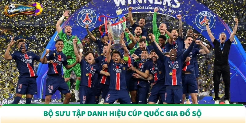 Bộ sưu tập danh hiệu cúp quốc gia đồ sộ