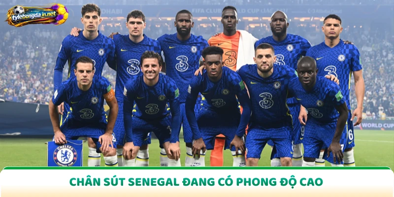 Chân sút senegal đang có phong độ cao