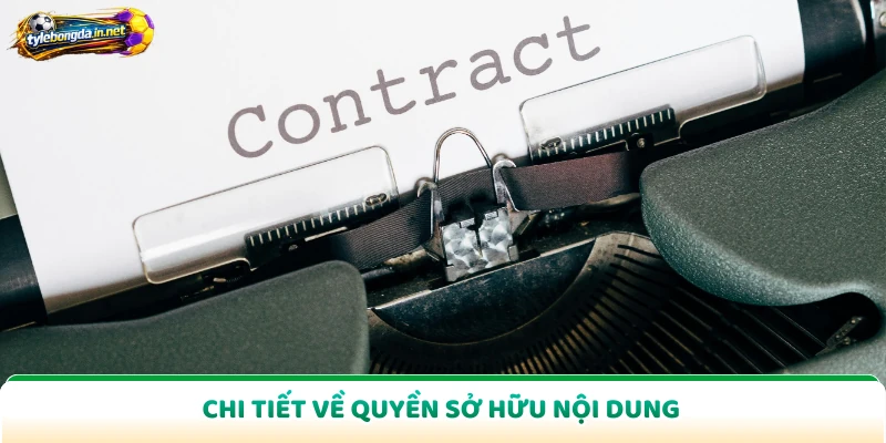 Chi tiết về quyền sở hữu nội dung