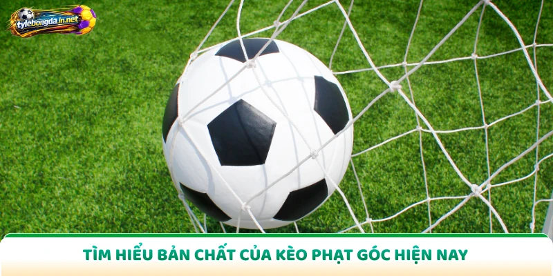 Tìm hiểu bản chất của kèo phạt góc hiện nay